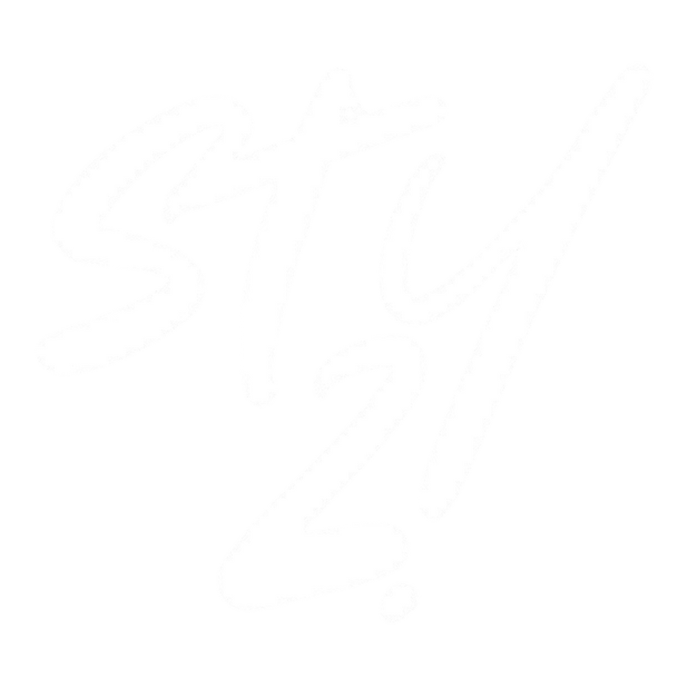 steez wear